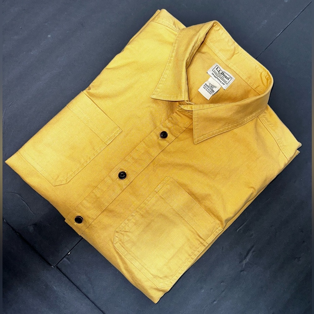 L.L. Bean Traditional Fit Button-Down Shirt – Men’s Large (L-REG)